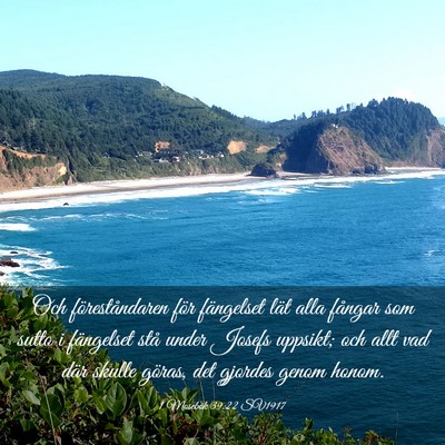 Picture 03 - 1 Mosebok 39:22 SV1917 - Och föreståndaren för fängelset lät alla - Bible Verse Picture