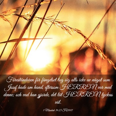 Picture 03 - 1 Mosebok 39:23 SV1917 - Föreståndaren för fängelset tog sig alls icke - Bible Verse Picture