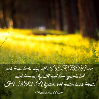 Picture 03 - 1 Mosebok 39:3 SV1917 - och hans herre såg att HERREN var med honom, ty - Bible Verse Picture