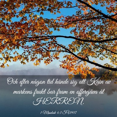 Picture 03 - 1 Mosebok 4:3 SV1917 - Och efter någon tid hände sig att Kain av - Bible Verse Picture