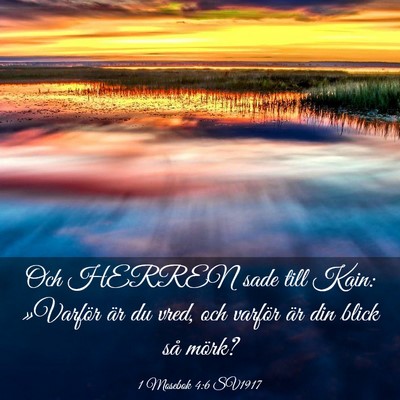 Picture 03 - 1 Mosebok 4:6 SV1917 - Och HERREN sade till Kain: »Varför är du vred, - Bible Verse Picture