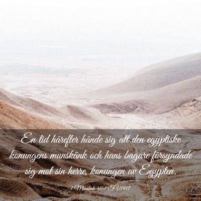 Picture 03 - 1 Mosebok 40:1 SV1917 - En tid härefter hände sig att den egyptiske - Bible Verse Picture