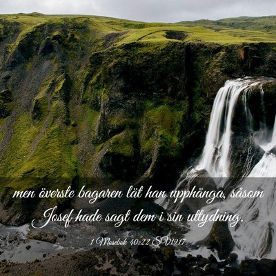 Picture 03 - 1 Mosebok 40:22 SV1917 - men överste bagaren lät han upphänga, såsom - Bible Verse Picture