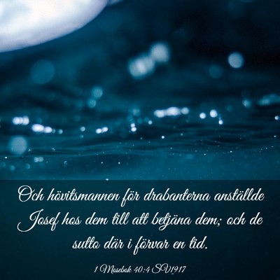Picture 03 - 1 Mosebok 40:4 SV1917 - Och hövitsmannen för drabanterna anställde - Bible Verse Picture