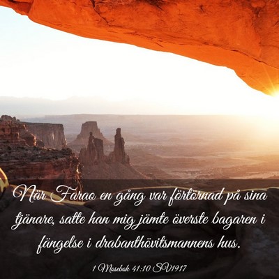Picture 03 - 1 Mosebok 41:10 SV1917 - När Farao en gång var förtörnad på sina - Bible Verse Picture