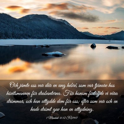 Picture 03 - 1 Mosebok 41:12 SV1917 - Och jämte oss var där en ung hebré, som var - Bible Verse Picture