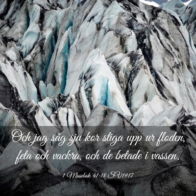 Picture 03 - 1 Mosebok 41:18 SV1917 - Och jag såg sju kor stiga upp ur floden, feta - Bible Verse Picture