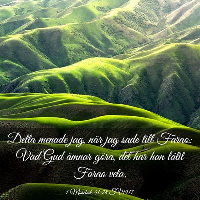 Picture 03 - 1 Mosebok 41:28 SV1917 - Detta menade jag, när jag sade till Farao: Vad - Bible Verse Picture
