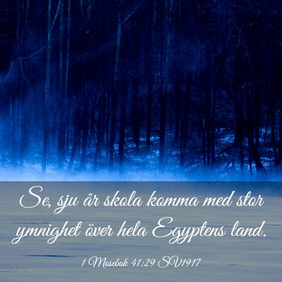 Picture 03 - 1 Mosebok 41:29 SV1917 - Se, sju år skola komma med stor ymnighet över - Bible Verse Picture