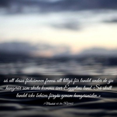Picture 03 - 1 Mosebok 41:36 SV1917 - så att dessa födoämnen finnas att tillgå för - Bible Verse Picture