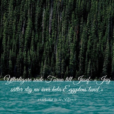 Picture 03 - 1 Mosebok 41:41 SV1917 - Ytterligare sade Farao till Josef: »Jag sätter - Bible Verse Picture