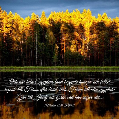 Picture 03 - 1 Mosebok 41:55 SV1917 - Och när hela Egyptens land begynte hungra och - Bible Verse Picture
