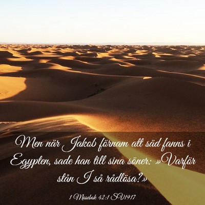 Picture 03 - 1 Mosebok 42:1 SV1917 - Men när Jakob förnam att säd fanns i Egypten, - Bible Verse Picture