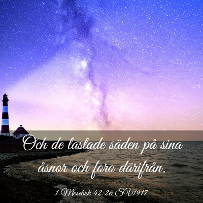 Picture 03 - 1 Mosebok 42:26 SV1917 - Och de lastade säden på sina åsnor och foro - Bible Verse Picture