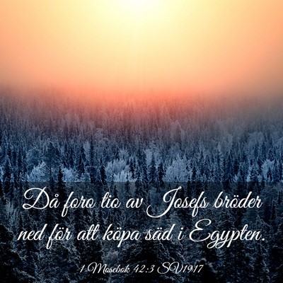 Picture 03 - 1 Mosebok 42:3 SV1917 - Då foro tio av Josefs bröder ned för att köpa - Bible Verse Picture