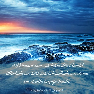 Picture 03 - 1 Mosebok 42:30 SV1917 - »Mannen som var herre där i landet tilltalade - Bible Verse Picture