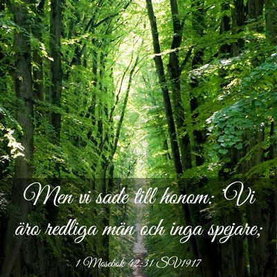Picture 03 - 1 Mosebok 42:31 SV1917 - Men vi sade till honom: 'Vi äro redliga män och - Bible Verse Picture