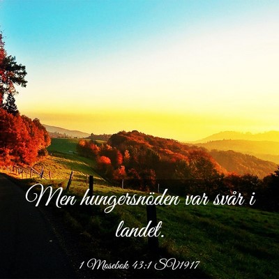 Picture 03 - 1 Mosebok 43:1 SV1917 - Men hungersnöden var svår i - Bible Verse Picture