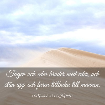 Picture 03 - 1 Mosebok 43:13 SV1917 - Tagen ock eder broder med eder, och stån upp och - Bible Verse Picture