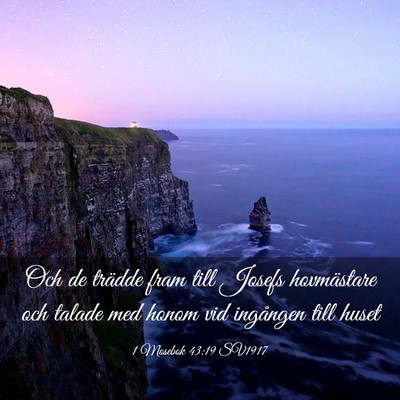 Picture 03 - 1 Mosebok 43:19 SV1917 - Och de trädde fram till Josefs hovmästare och - Bible Verse Picture
