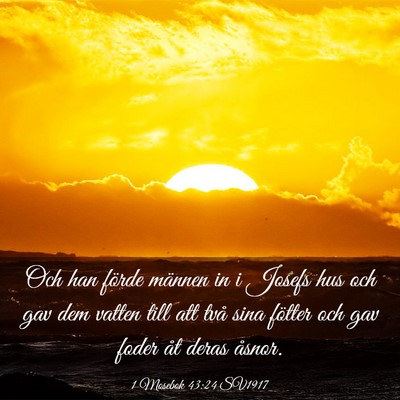 Picture 03 - 1 Mosebok 43:24 SV1917 - Och han förde männen in i Josefs hus och gav - Bible Verse Picture