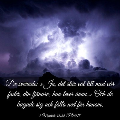Picture 03 - 1 Mosebok 43:28 SV1917 - De svarade: »Ja, det står väl till med vår - Bible Verse Picture