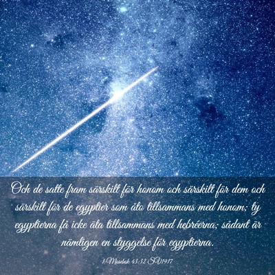 Picture 03 - 1 Mosebok 43:32 SV1917 - Och de satte fram särskilt för honom och - Bible Verse Picture