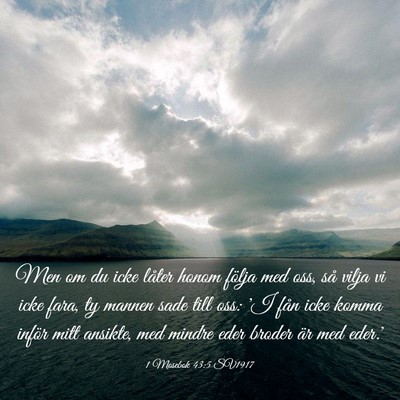 Picture 03 - 1 Mosebok 43:5 SV1917 - Men om du icke låter honom följa med oss, så - Bible Verse Picture