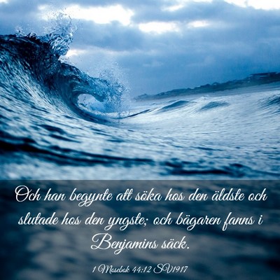 Picture 03 - 1 Mosebok 44:12 SV1917 - Och han begynte att söka hos den äldste och - Bible Verse Picture