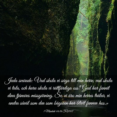 Picture 03 - 1 Mosebok 44:16 SV1917 - Juda svarade: Vad skola vi säga till min herre, - Bible Verse Picture