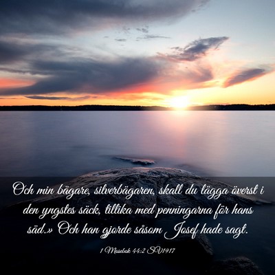 Picture 03 - 1 Mosebok 44:2 SV1917 - Och min bägare, silverbägaren, skall du lägga - Bible Verse Picture