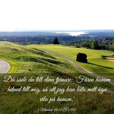Picture 03 - 1 Mosebok 44:21 SV1917 - Då sade du till dina tjänare: 'Fören honom - Bible Verse Picture