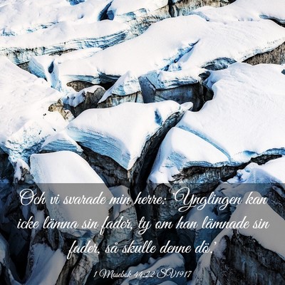 Picture 03 - 1 Mosebok 44:22 SV1917 - Och vi svarade min herre: 'Ynglingen kan icke - Bible Verse Picture