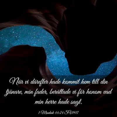 Picture 03 - 1 Mosebok 44:24 SV1917 - När vi därefter hade kommit hem till din - Bible Verse Picture