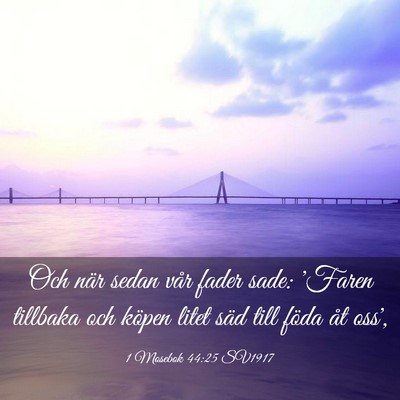 Picture 03 - 1 Mosebok 44:25 SV1917 - Och när sedan vår fader sade: 'Faren tillbaka - Bible Verse Picture