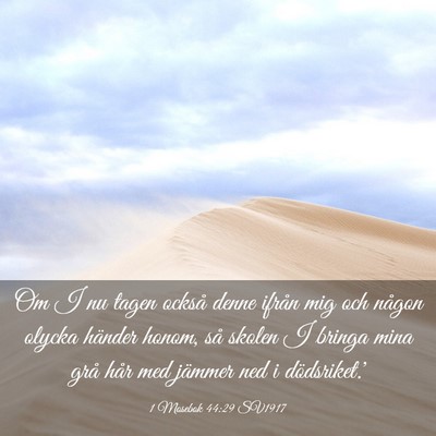 Picture 03 - 1 Mosebok 44:29 SV1917 - Om I nu tagen också denne ifrån mig och någon - Bible Verse Picture