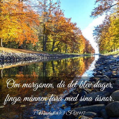 Picture 03 - 1 Mosebok 44:3 SV1917 - Om morgonen, då det blev dager, fingo männen - Bible Verse Picture