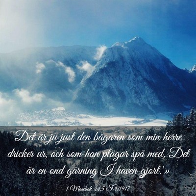 Picture 03 - 1 Mosebok 44:5 SV1917 - Det är ju just den bägaren som min herre - Bible Verse Picture