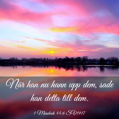 Picture 03 - 1 Mosebok 44:6 SV1917 - När han nu hann upp dem, sade han detta till - Bible Verse Picture