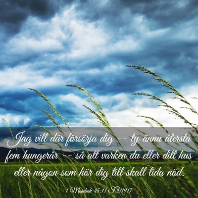Picture 03 - 1 Mosebok 45:11 SV1917 - Jag vill där försörja dig -- ty ännu - Bible Verse Picture
