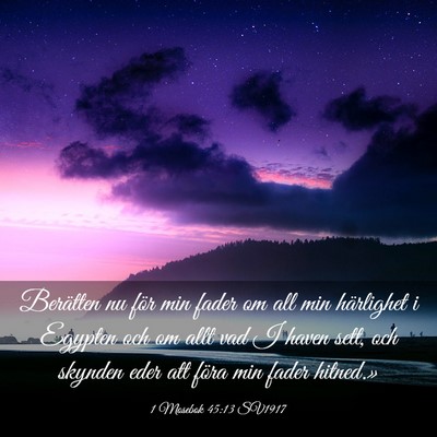 Picture 03 - 1 Mosebok 45:13 SV1917 - Berätten nu för min fader om all min härlighet - Bible Verse Picture