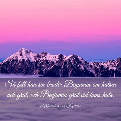 Picture 03 - 1 Mosebok 45:14 SV1917 - Så föll han sin broder Benjamin om halsen och - Bible Verse Picture