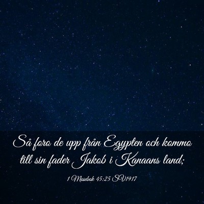 Picture 03 - 1 Mosebok 45:25 SV1917 - Så foro de upp från Egypten och kommo till sin - Bible Verse Picture