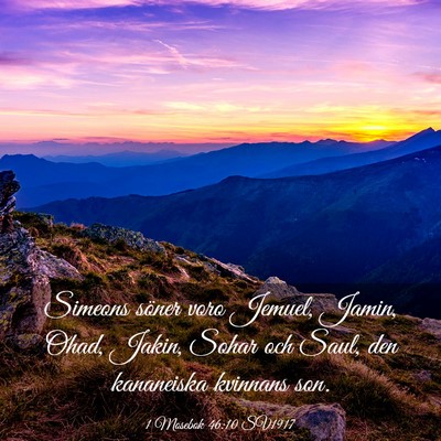 Picture 03 - 1 Mosebok 46:10 SV1917 - Simeons söner voro Jemuel, Jamin, Ohad, Jakin, - Bible Verse Picture