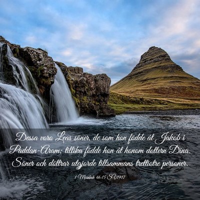 Picture 03 - 1 Mosebok 46:15 SV1917 - Dessa voro Leas söner, de som hon födde åt - Bible Verse Picture