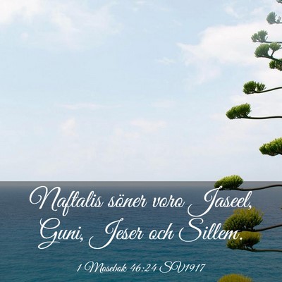 Picture 03 - 1 Mosebok 46:24 SV1917 - Naftalis söner voro Jaseel, Guni, Jeser och - Bible Verse Picture