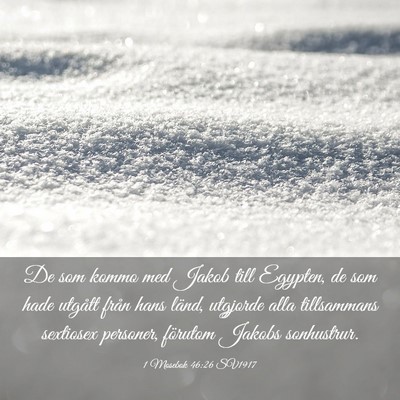 Picture 03 - 1 Mosebok 46:26 SV1917 - De som kommo med Jakob till Egypten, de som hade - Bible Verse Picture