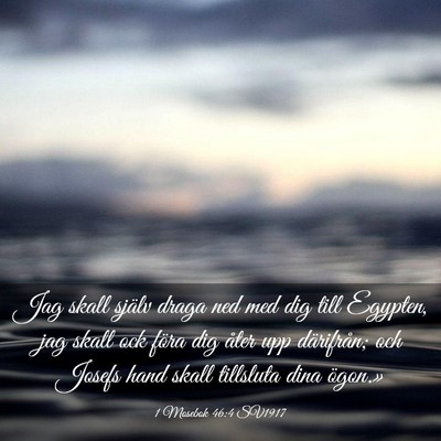 Picture 03 - 1 Mosebok 46:4 SV1917 - Jag skall själv draga ned med dig till Egypten, - Bible Verse Picture