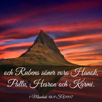 Picture 03 - 1 Mosebok 46:9 SV1917 - och Rubens söner voro Hanok, Pallu, Hesron och - Bible Verse Picture