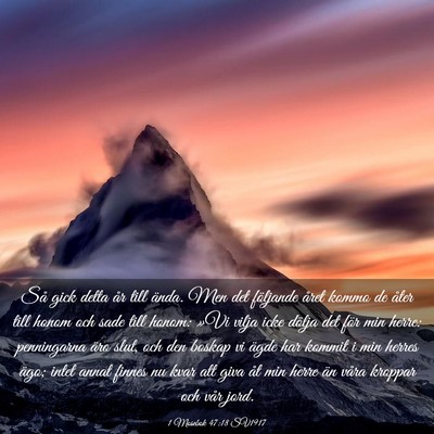 Picture 03 - 1 Mosebok 47:18 SV1917 - Så gick detta år till ända. Men det följande - Bible Verse Picture